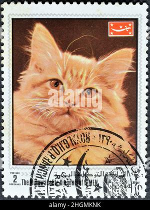 Cancelled postage stamp printed by Kingdom Yemen, that shows Domestic Cat (Felis silvestris catus), circa 1970. Stock Photo