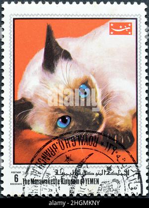 Cancelled postage stamp printed by Kingdom Yemen, that shows Siamese Cat (Felis silvestris catus), circa 1970. Stock Photo