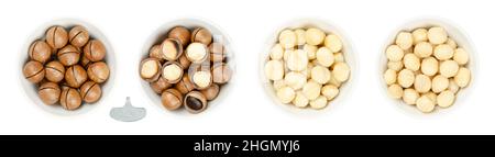 Macadamia nuts, in white bowls. Dried fruits with sawn nutshells, opened with the opener key, shelled and raw, and roasted and salted. Stock Photo