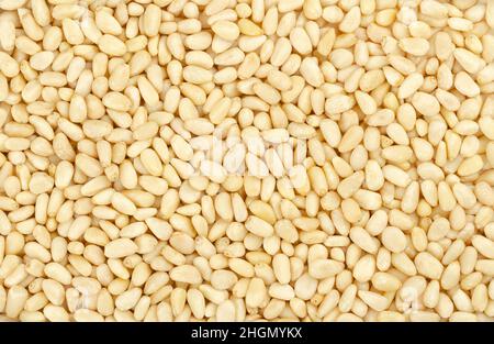 Pine nuts, surface and background. Beige and raw edible seeds of Chinese white pine, Pinus armandii. Also called pinon, pinoli and pignoli. Stock Photo