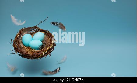 Banner. Easter eggs with feathers in a nest on a blue background. A nest with feathers floats in the air. Minimalistic concept. Card with copy space. Stock Photo