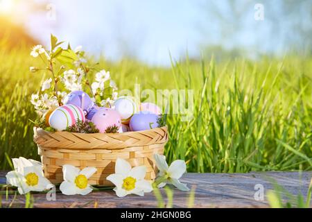Basket with Easter eggs and flowers on a background of green grass. Stock Photo