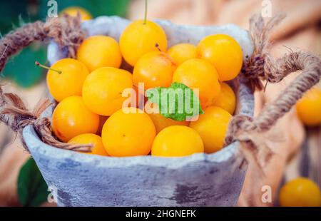Yellow fresh cherry plum on the table Stock Photo