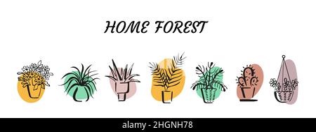 Outlines of various potted room plants on colour spots backgrounds. Sketchy home decorative plants. Collection of doodle design elements Stock Vector
