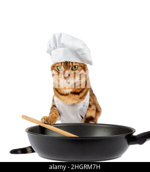 Cute cat cook frying a dish with a frying pan and a spatula on a white background Stock Photo