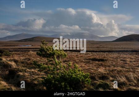 Bogland at the edge of Wild Nephin National Park in Ireland. It is located on the western seaboard in Northwest Mayo. It comprises of 11.000 hectares. Stock Photo