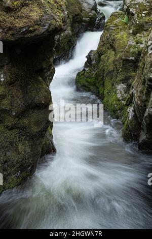 Hethpool, near Wooler, Northumberland - College Valley, Cheviot foothills. Hethpool Linn waterfalls in the College Burn. Stock Photo