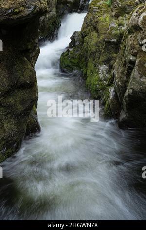 Hethpool, near Wooler, Northumberland - College Valley, Cheviot foothills. Hethpool Linn waterfalls in the College Burn. Stock Photo