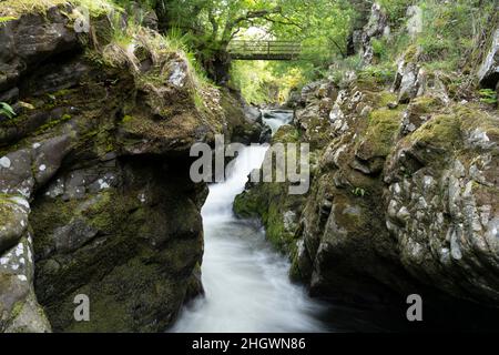 Hethpool, near Wooler, Northumberland - College Valley, Cheviot foothills. Hethpool Linn waterfalls in the College Burn. Stock Photo