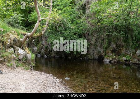 Hethpool, near Wooler, Northumberland - College Valley, Cheviot foothills. Hethpool Linn waterfalls in the College Burn. Stock Photo