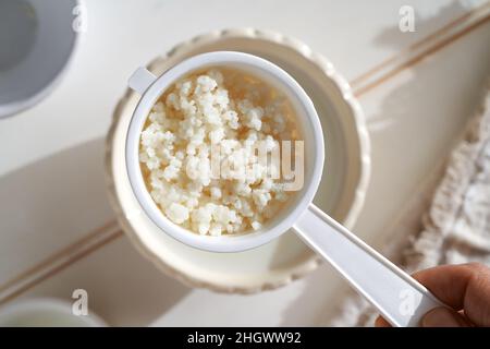 Kefir grains in a white strainer - preparation of homemade fermented drink Stock Photo