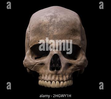 Upper part of an anatomically accurate Homo sapiens skull anterior or front view isolated on black background 3D rendering illustration. Human anatomy Stock Photo