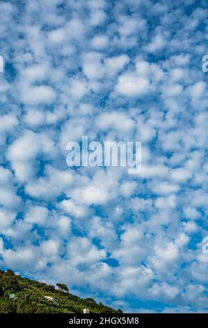 Sky full of white clouds Stock Photo