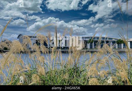Sea Oats with Convention Center in Background Stock Photo
