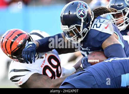 Cincinnati Bengals nose tackle D.J. Reader (98) celebrates a sack