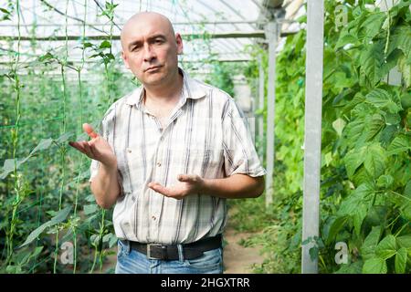 Worker checking plants in glasshouse Stock Photo