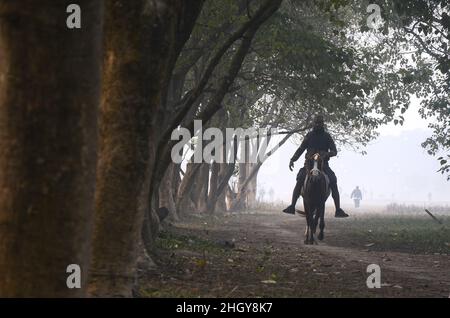 Kolkata, West Bengal, India. 21st Jan, 2022. A horse rider moving into the cloudy weather. A dense fog is seen in the early morning. (Credit Image: © Rahul Sadhukhan/Pacific Press via ZUMA Press Wire) Stock Photo