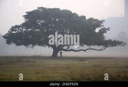 Kolkata, West Bengal, India. 21st Jan, 2022. A man was exercising in the winter morning under the tree. A dense fog is seen in the early morning. (Credit Image: © Rahul Sadhukhan/Pacific Press via ZUMA Press Wire) Stock Photo