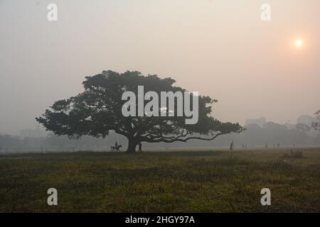 Kolkata, West Bengal, India. 21st Jan, 2022. A dense fog is seen in the early morning in Kolkata. (Credit Image: © Rahul Sadhukhan/Pacific Press via ZUMA Press Wire) Stock Photo