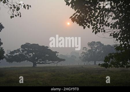 Kolkata, West Bengal, India. 21st Jan, 2022. A dense fog is seen in the early morning in Kolkata. (Credit Image: © Rahul Sadhukhan/Pacific Press via ZUMA Press Wire) Stock Photo
