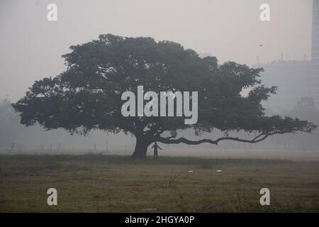 Kolkata, West Bengal, India. 21st Jan, 2022. A man was exercising in the winter morning under the tree. A dense fog is seen in the early morning. (Credit Image: © Rahul Sadhukhan/Pacific Press via ZUMA Press Wire) Stock Photo