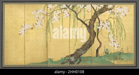 Cherry and Maple Trees early 1820s Sakai H?itsu This pair of screens, painted in vivid colors on a brilliant gold-leaf background, presents a budding willow and a cherry tree in full bloom alongside two maple trees at the peak of their crimson glory. The compositions are distinctive for their array of related springtime and autumnal plants and flowers, all with poetic significance in haiku of the period. While hanging-scroll paintings by Sakai H?itsu abound, only a half dozen or so pairs of screens in this six-panel format are known to survive, and these in particular stand out for their origi Stock Photo