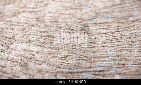 Old gray concrete or cement wall textured background Stock Photo