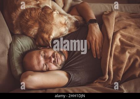 a man sleeps on the couch with a Labrador dog. pet, friendship Stock Photo