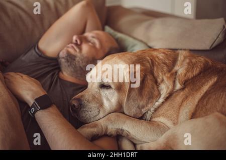 a man sleeps on the couch with a Labrador dog. pet, friendship Stock Photo