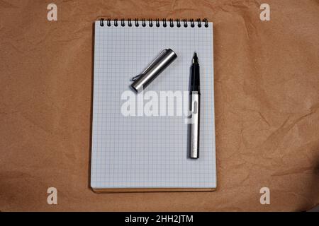 White Spiral notebook and Lamy fountain pen with copy space Stock Photo
