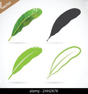Vector of leaves design on white background. Easy editable layered vector illustration. Stock Vector