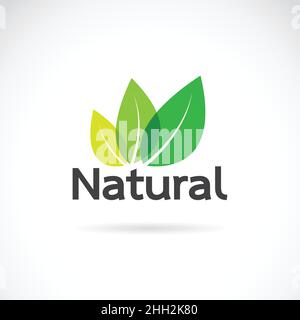 Green leaf, natural leaf icon logo design template vector Stock Vector ...