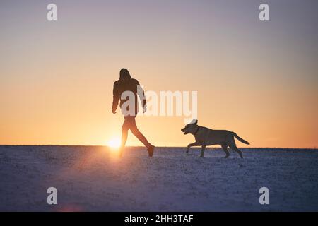 Silhouette of man with dog on snowy meadow. Pet owner running with labrador retriever during winter morning. Stock Photo