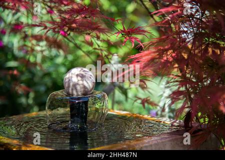 garden fountain under the shade of a palm maple in the backyard on a sunny day - selective focus Stock Photo