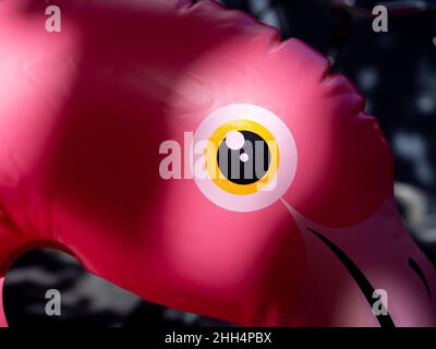 Close up at the eye of ink pool inflatable flamingo with light and shadow, minimal style. Inflatable flamingo ring tube. Summer beach background. Stock Photo