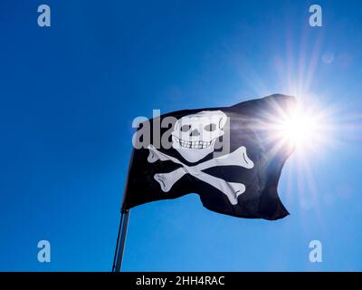 Black pirate flag with a white skull and bones on the white wood pole waving in wind at clear blue sky background with sun rays light. Stock Photo