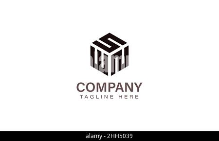 Letter SWN Logo, Three Letter Logo, Alphabet S W N Hexagon Shape Vector Icon Template Stock Vector