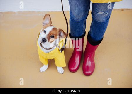 Dog sitting by woman wearing red boots on footpath Stock Photo