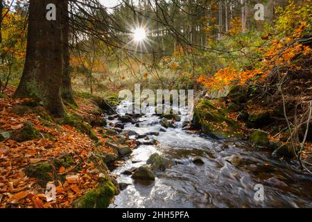 Radau river flowing through Harz National Park in autumn Stock Photo