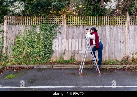 Woman standing on ladder looking through binoculars Stock Photo