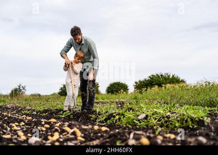 Daughter helping father working in agricultural field Stock Photo