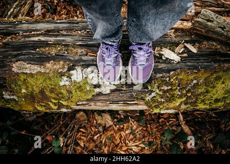 Hiker standing on moss covered fallen tree in forest Stock Photo