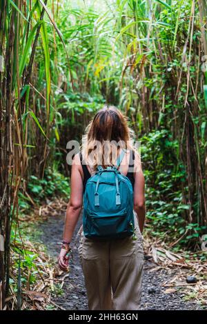 Hiker walking amidst plants exploring Arenal Volcano National Park, La Fortuna, Alajuela Province, Costa Rica Stock Photo