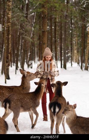 Woman feeding deer on snow at winter forest Stock Photo