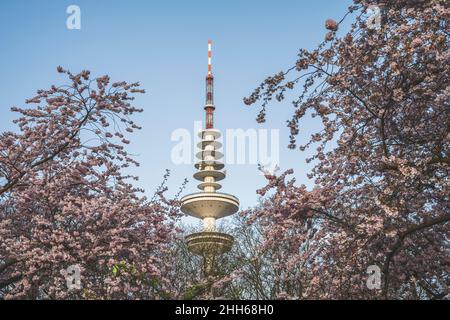 Germany, Hamburg, Heinrich Hertz Tower with blooming cherry blossoms in foreground Stock Photo