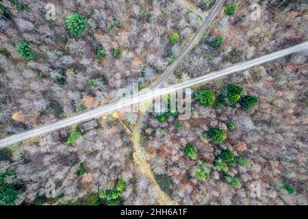 Drone view of dirt road stretching through forest Stock Photo