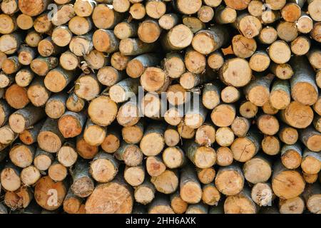 Piles of wood from logging forests to be used as raw materials for furniture. Piles of round and square wood form patterns and textures. Stock Photo