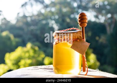 Honey with honey dipper and wooden stick. Organic floral honey against blurred background with trees in Brazil Stock Photo