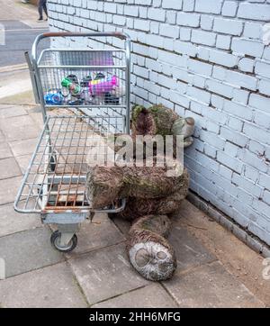 Teddy and me went on an all night booze fest. Teddy was off his trolly and fell of the wagon. Stock Photo