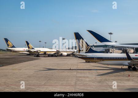 Singapore - January 2022: Singapore Airlines aircraft on the runway of Singapore Changi Airport. Singapore Airlines is the flag carrier of Singapore Stock Photo